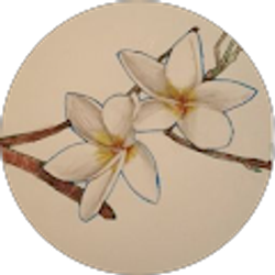 Profile photo of Haylee Jameson