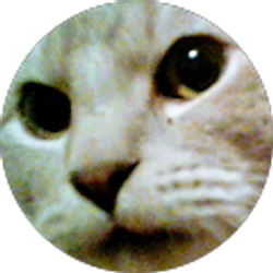 Profile photo of Dayana Palacios