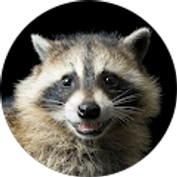 Profile photo of Devan Starling