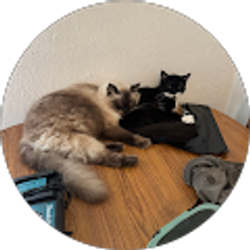 Profile photo of Miguel Vidal