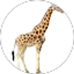 Profile photo of Kyle Canter
