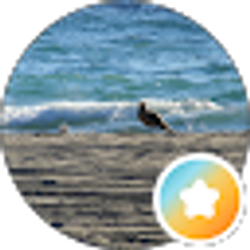 Profile photo of Sandra Ecker