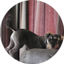 Profile photo of Sarah S