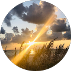 Profile photo of Amber Williams