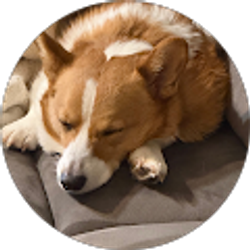 Profile photo of Cameron Dustin