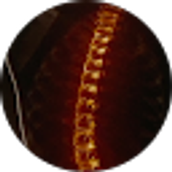 Profile photo of Diego K