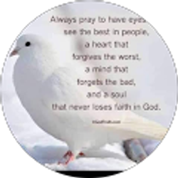 Profile photo of Moses Quaye