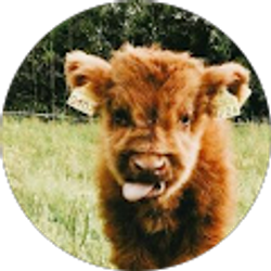 Profile photo of Amaya Pendleton