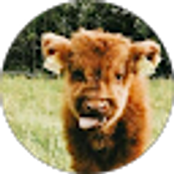 Profile photo of Amaya Pendleton