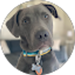 Profile photo of Brian Phuntek