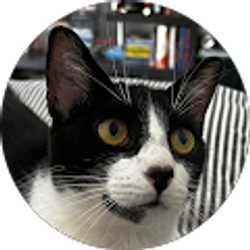 Profile photo of Johan Triana