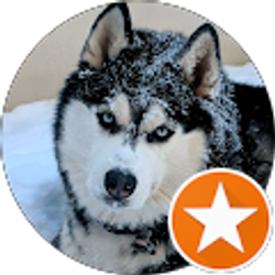 Profile photo of Shane Hewson