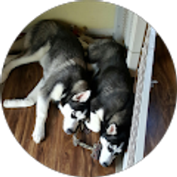 Profile photo of Ben Sanchez Salas