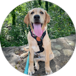 Profile photo of Jose Gutierrez