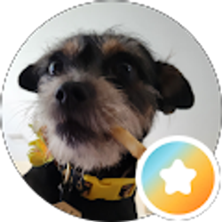 Profile photo of Age Waller