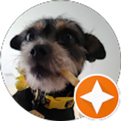 Profile photo of Age Waller