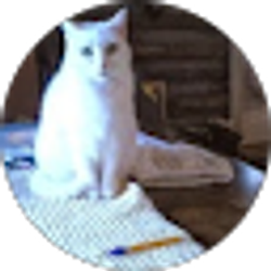 Profile photo of Sharon Rivette