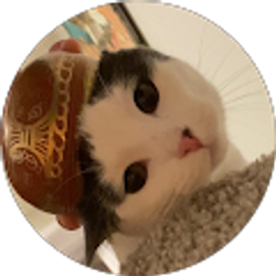 Profile photo of SPIRIT