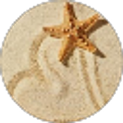 Profile photo of Michelle Marchese