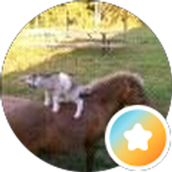 Profile photo of Chris C