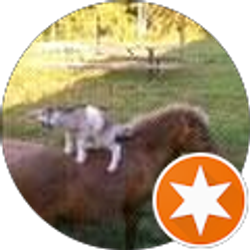 Profile photo of Chris C