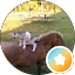 Profile photo of Chris C