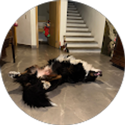 Profile photo of Emilio Ocampo