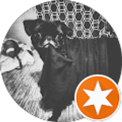 Profile photo of 595TEXAS