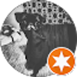 Profile photo of 595TEXAS