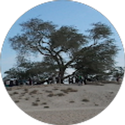 Profile photo of Tinufe Oke