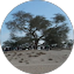 Profile photo of Tinufe Oke