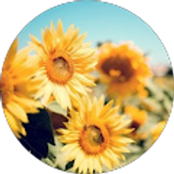 Profile photo of Dani & Kirby Q