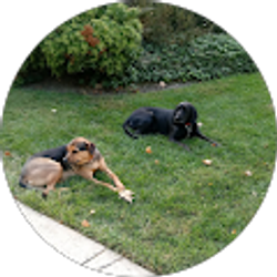 Profile photo of Richard Bernat