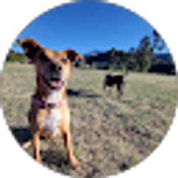 Profile photo of Lisa Price Waltman