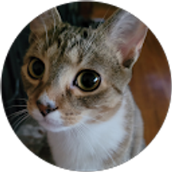 Profile photo of Teffie Engwall