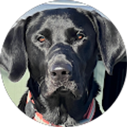 Profile photo of Bill M