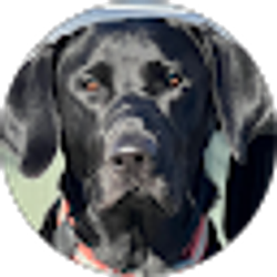 Profile photo of Bill M