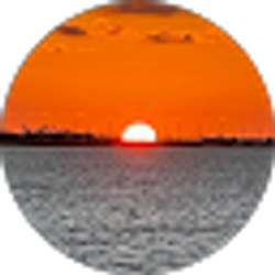 Profile photo of kwbforest