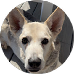 Profile photo of Jennifer Bihon