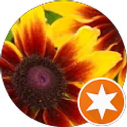 Profile photo of Lins Make