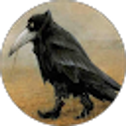Profile photo of Lynn Fazio