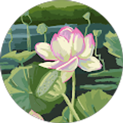 Profile photo of Evie Maple