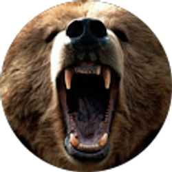 Profile photo of Bear Griz