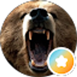 Profile photo of Bear Griz