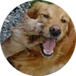 Profile photo of Kathy Larsen