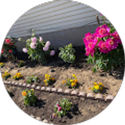 Profile photo of San sha