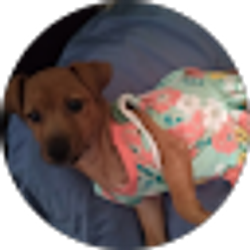 Profile photo of Jose Sauceda