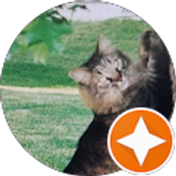 Profile photo of Mary Riccardi