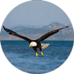 Profile photo of Ebro Eshet Mak