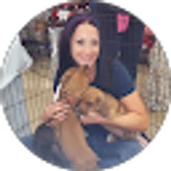 Profile photo of Stephanie Nicole